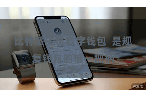 比特派多链数字钱包 是规复钱包的惟一把柄