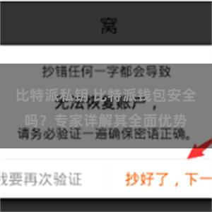 比特派私钥 比特派钱包安全吗？专家详解其全面优势