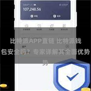 比特派APP直链 比特派钱包安全吗？专家详解其全面优势