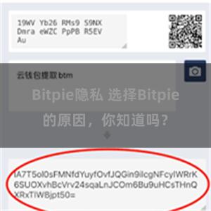 Bitpie隐私 选择Bitpie的原因，你知道吗？