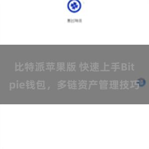 比特派苹果版 快速上手Bitpie钱包，多链资产管理技巧