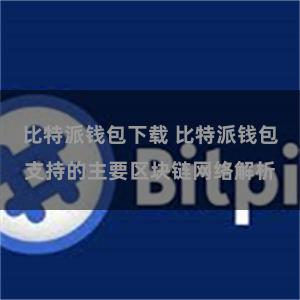 比特派钱包下载 比特派钱包支持的主要区块链网络解析