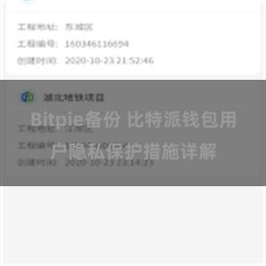 Bitpie备份 比特派钱包用户隐私保护措施详解