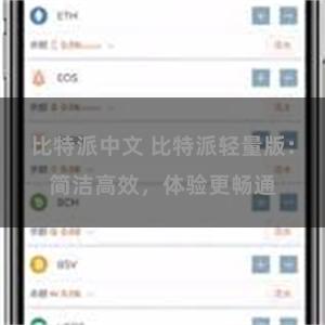 比特派中文 比特派轻量版：简洁高效，体验更畅通