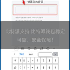 比特派支持 比特派钱包稳定可靠，安全保障！