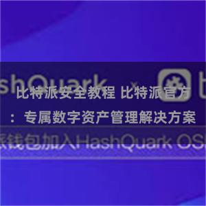 比特派安全教程 比特派官方：专属数字资产管理解决方案
