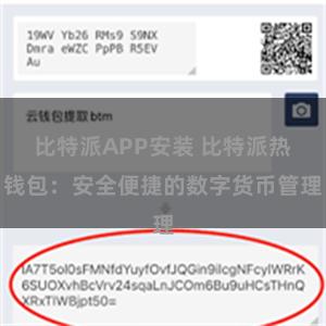 比特派APP安装 比特派热钱包：安全便捷的数字货币管理