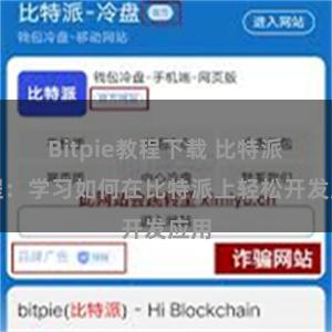 Bitpie教程下载 比特派教程：学习如何在比特派上轻松开发应用