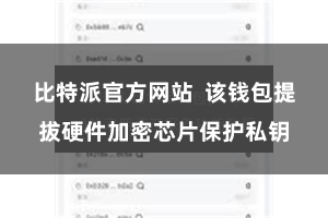 比特派官方网站 该钱包提拔硬件加密芯片保护私钥